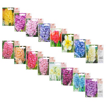 Bulbs D - buy, prices for COSMOS - photo 1