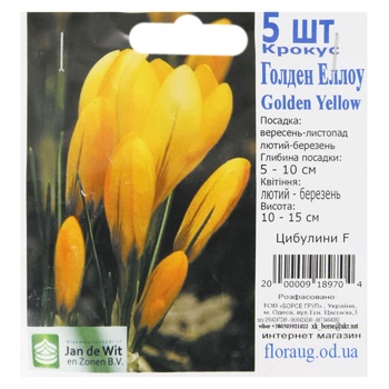 Луковицы F - купить, цены на КОСМОС - фото 5