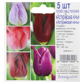 Bulbs H - buy, prices for COSMOS - photo 4