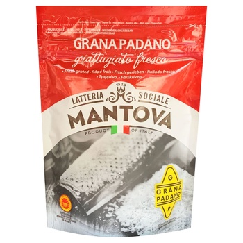 Mantova Grana Padano Grated Cheese 45% 100g - buy, prices for - photo 1