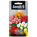 Seedera Dahlia Changeable Figaro Mix Seeds 0.5g