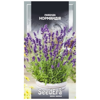 Seedera Lavender Normandy Seed 0.1g