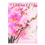 Блокнот Скат А6 50аркушів