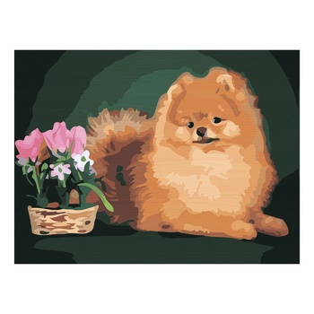 Ideyka Fluffy Wild Painting by Numbers 30х30cm - buy, prices for - photo 1