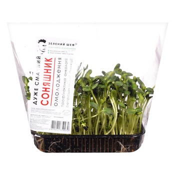 Zelenyi Shef Sunflower Microgreen