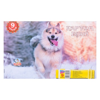 White Cardboard Set A4 9 sheets - buy, prices for Tavria V - photo 1