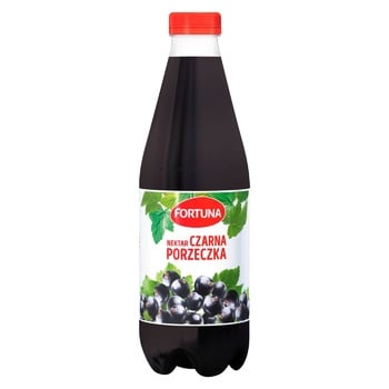 Fortuna Black Currant Nectar 1l - buy, prices for EKO Market - photo 1