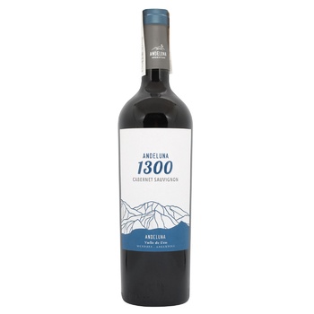 Вино Andeluna 1300 Cabernet Sauvignon красное сухое 14,4% 0,75л - купить, цены на WINETIME - фото 1