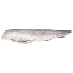 Flagman Fresh-frozen Hake Carcass 200-400