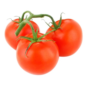 Pink Tomato on a Branch