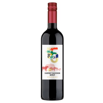 Вино BIG5 Cabernet Sauvignon-Merlot красное сухое 14% 0,75л - купить, цены на WINETIME - фото 1