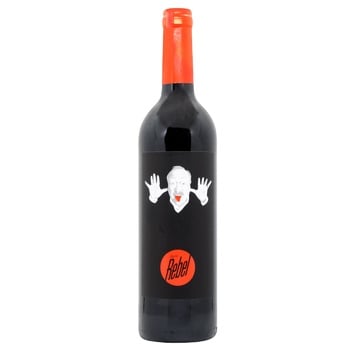 Вино Luis Pato Pato Rebel червоне сухе 12% 0,75л - купити, ціни на WINETIME - фото 1