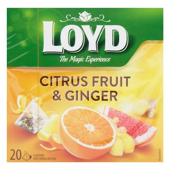 Loyd Ginger and Citrus Fruit Tea 2g*20pcs - buy, prices for METRO - photo 2