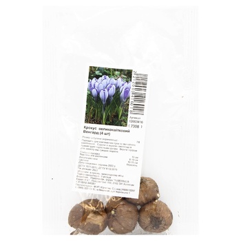 Vengard Large-Flowered Crocus Bulbs 4pcs