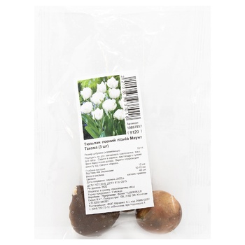 Mount Tacoma Full Late Tulip Bulb 3pcs