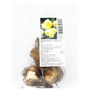 bulb narcissus 3pcs - buy, prices for - photo 1