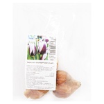 Rimini Triumph Tulip Bulb 3pcs