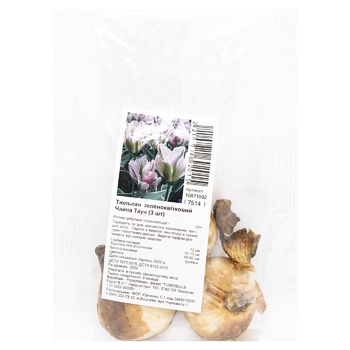 Bulb tulip 3pcs - buy, prices for ULTRAMARKET - photo 1