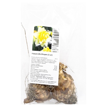 Dick Wilden Narcissus Bulb 3pcs - buy, prices for ULTRAMARKET - photo 1