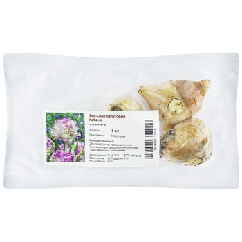 Kabana Parrot Tulip 3pcs - buy, prices for - photo 1