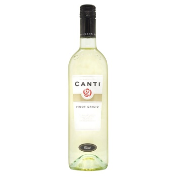 Canti Pinot Grigio Pavia White Dry Wine 11.5% 0.75l - buy, prices for MegaMarket - photo 1