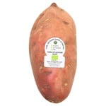 Dunayskyy Ahrariy Organic Sweet Potato