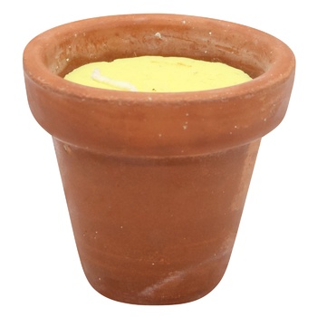 Свічка Cereria Molla Terracotta Citronella Yellow від комарів - купити, ціни на WINETIME - фото 1