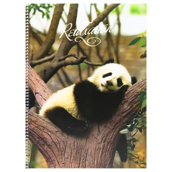 Arkush Panda Notepad А4 96 sheets - buy, prices for Auchan - photo 1