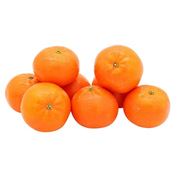 Clementine Tangerine - buy, prices for - photo 1