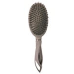 Brush