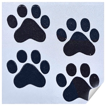 Dexter's Paws Reflective Sticker 4*4cm - buy, prices for Auchan - photo 2