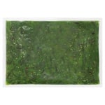 Foods Delivery Chuka Wakame Frozen Marinated Seaweed Salad 1kg