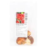 Луковицы тюльпанов полных поздних Миранда 3шт