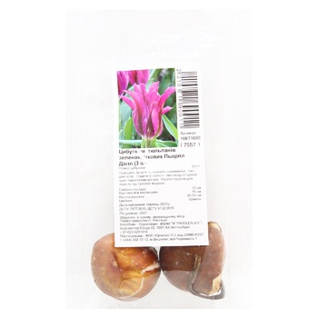 Цибулини тюльпанів зеленоквіткових Пьорпл Долл 3шт - купити, ціни на МегаМаркет - фото 1