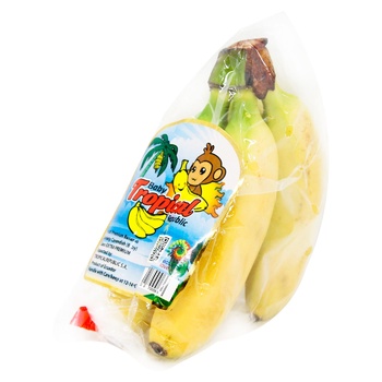 Baby Tropical Banana, pcs