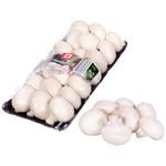 Eurogroup Champignons 350g