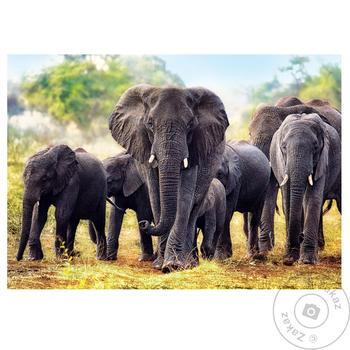 Trefl African Elephants Puzzles 1000 elements - buy, prices for - photo 1