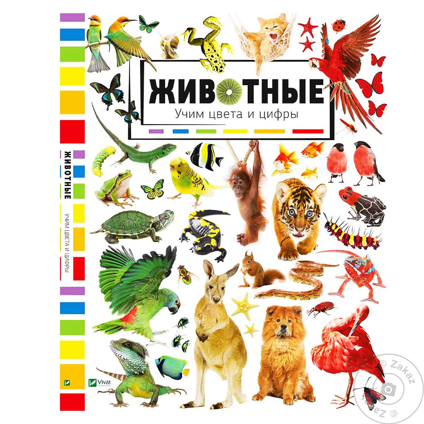

Книга Животные учим цвета и цифры
