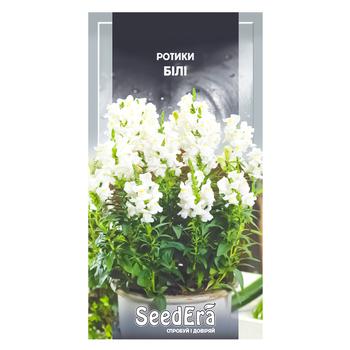 Seedera Garden White Dragon Flowers Seed 0.2g