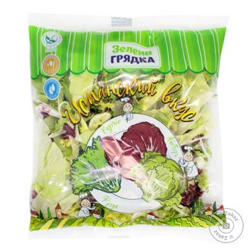 Zelena Gryadka Spanish Taste Salad Mix 200g - buy, prices for Vostorg - photo 2