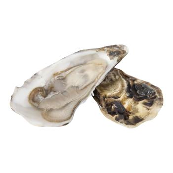 Finn De Clare №2 Oyster - buy, prices for COSMOS - photo 1