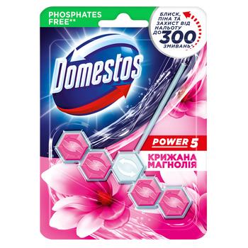 Блок для унітазу Domestos Power 5 Крижана магнолія 55г