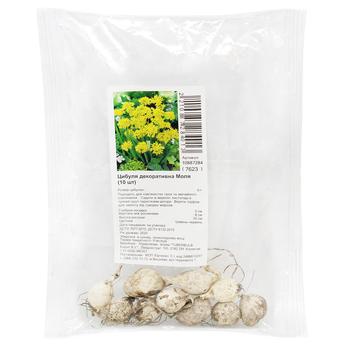 Allium Moly Bulbs 10pcs - buy, prices for ULTRAMARKET - photo 1