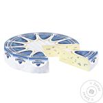 Сыр Kaserei Champignon Камбоцола с плесенью 70%