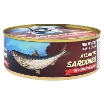 Legend Sardine in Tomato Sauce 260g