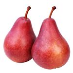 Груша Конференція червона