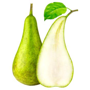 Conference Pear - buy, prices for Tavria V - photo 1