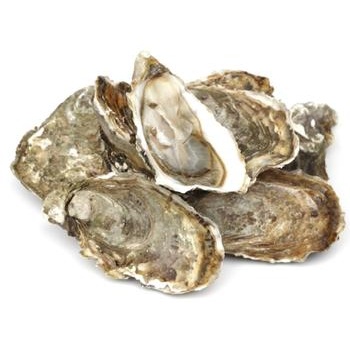 Oysters 7 pieces - buy, prices for METRO - photo 1