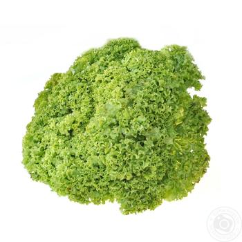 Greens lettuce lollo bionda fresh - buy, prices for MegaMarket - photo 1