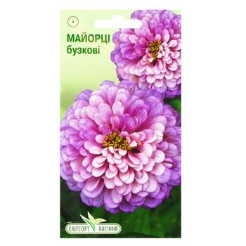 Elitesort Nasinnya Flowers Majorca Lilac Seeds 0.5g - buy, prices for NOVUS - photo 1